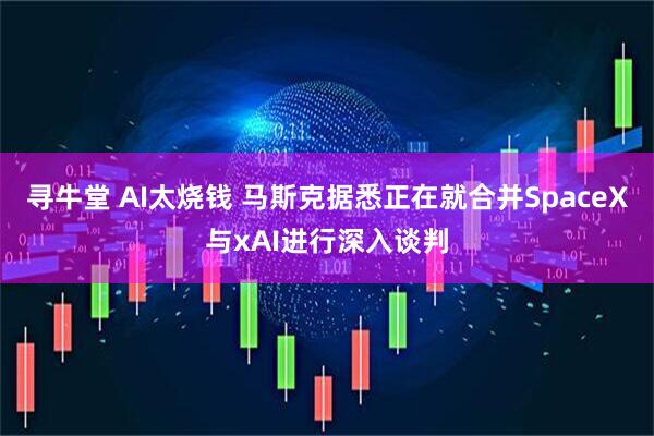 寻牛堂 AI太烧钱 马斯克据悉正在就合并SpaceX与xAI进行深入谈判